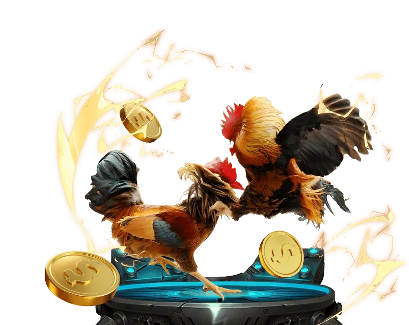 Đá gà Hi88 Sodo Casino 6789